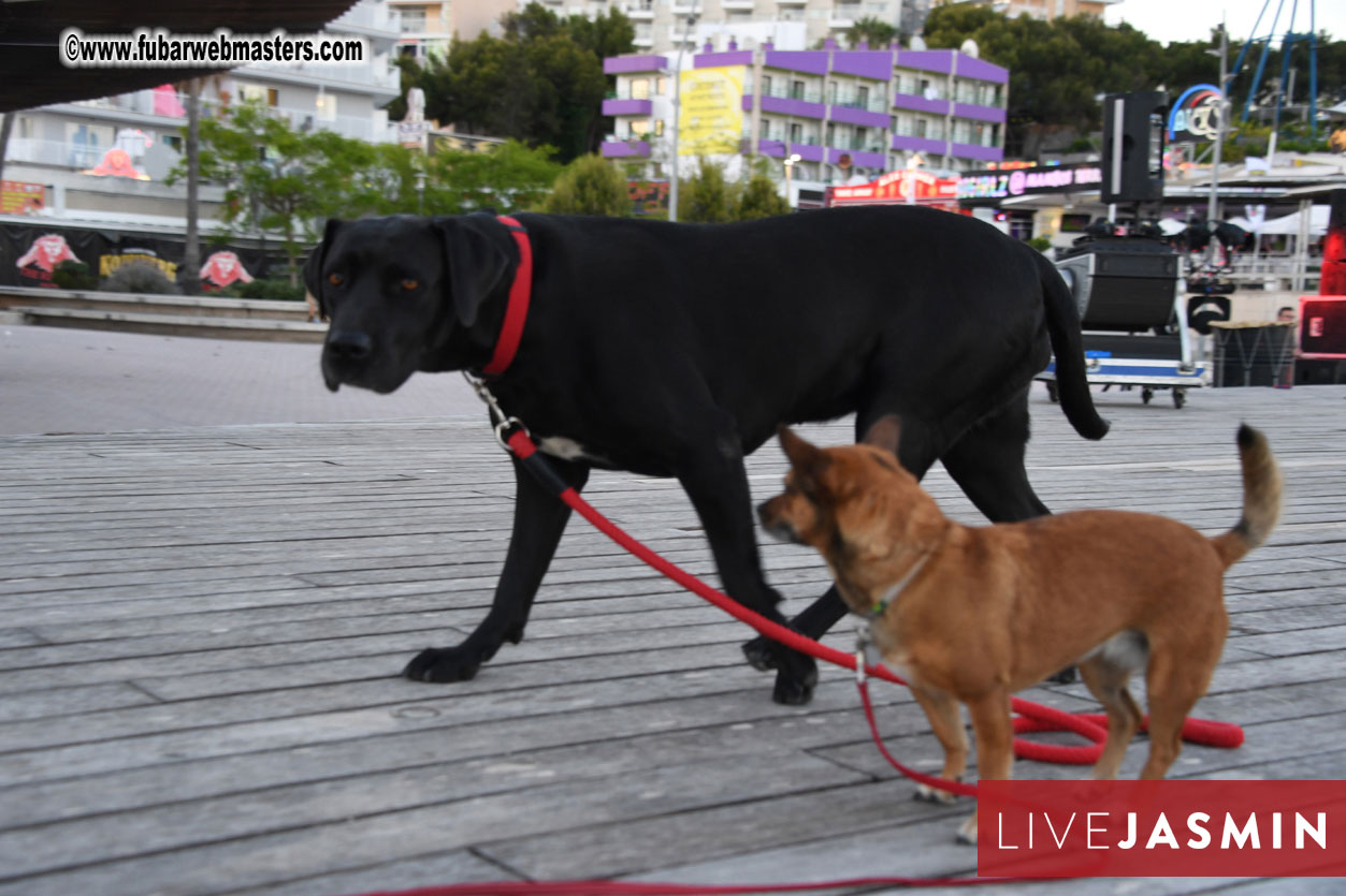 EWT VIP Party at Alex?Çÿs Lounge