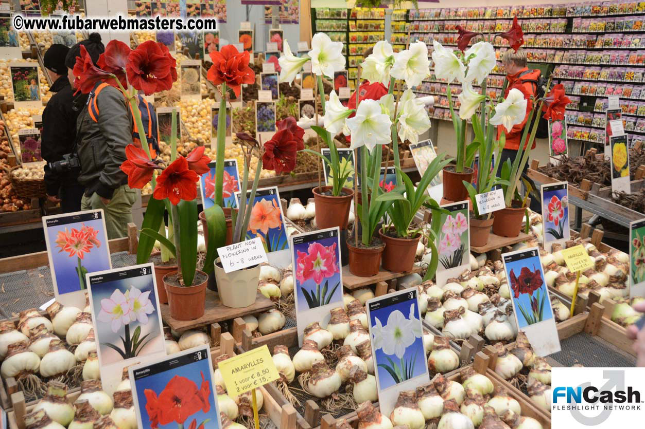 Amsterdam on Saturday