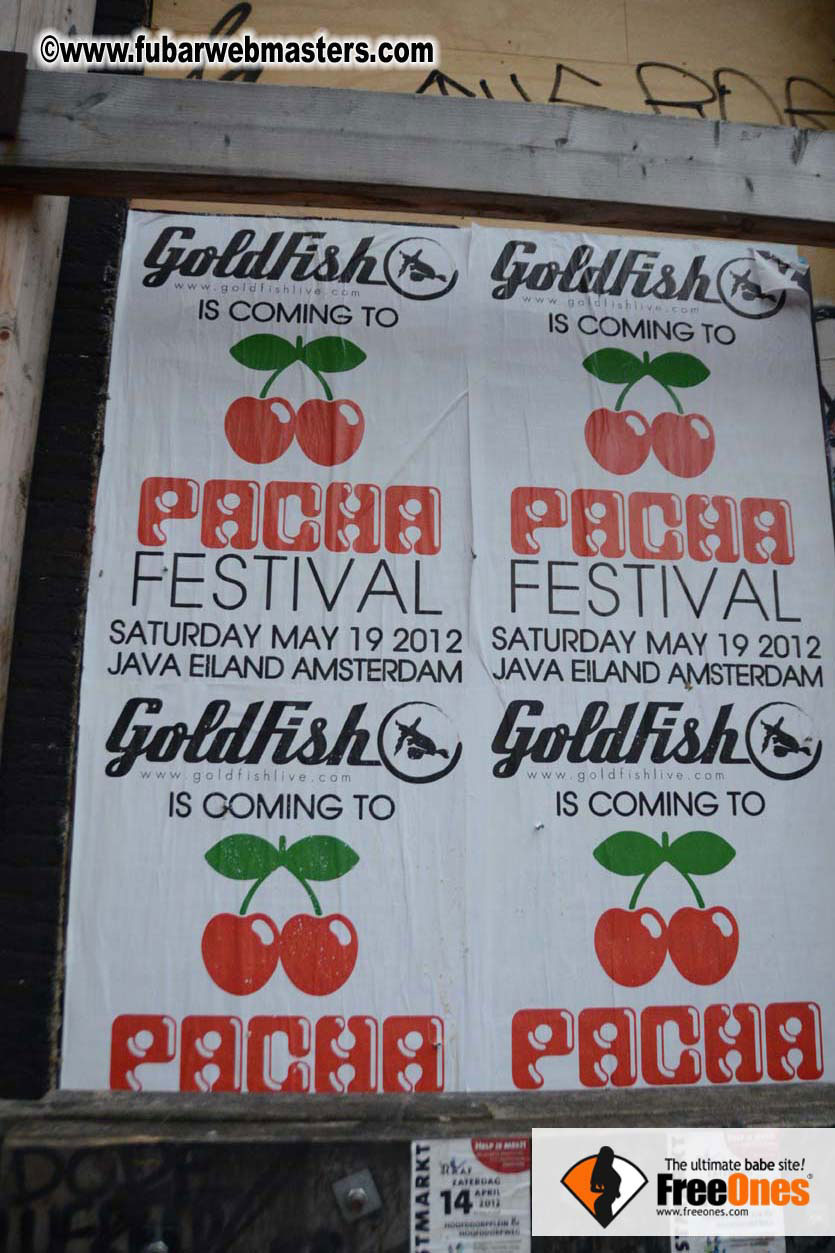 Amsterdam on Saturday