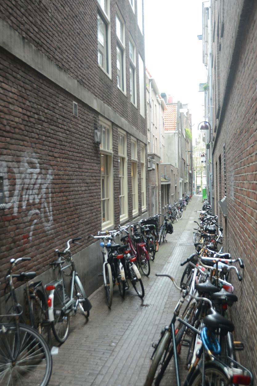 Amsterdam on Saturday