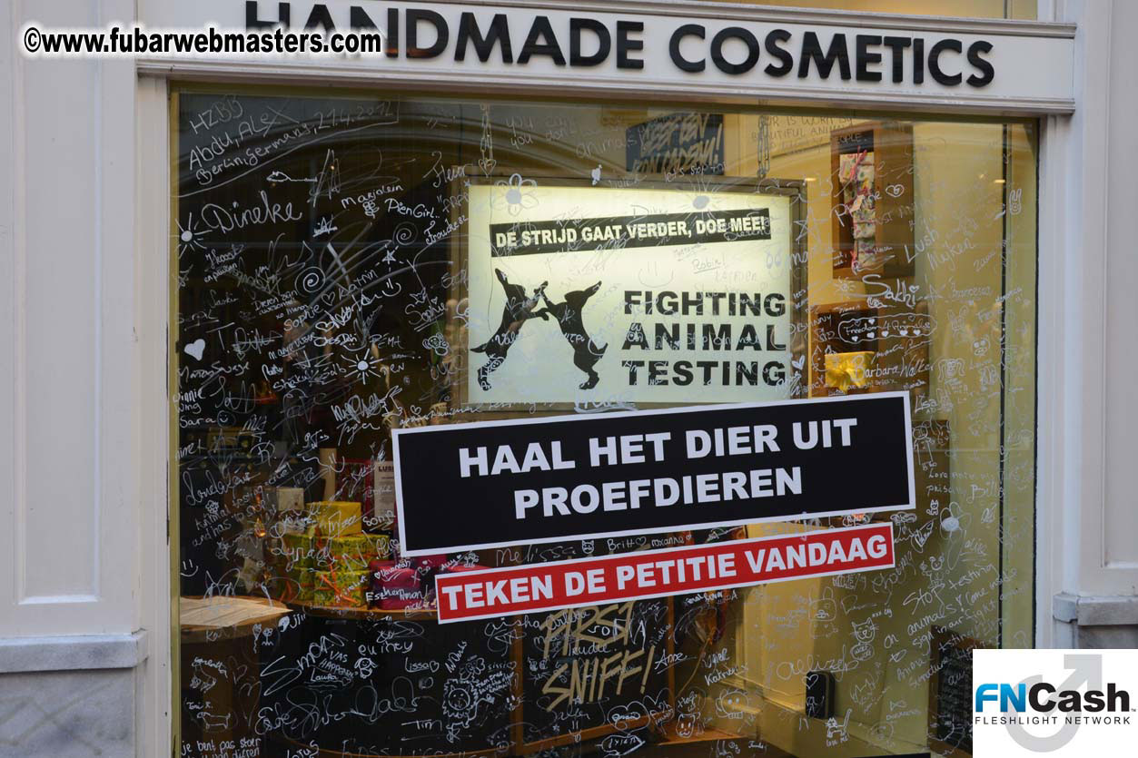 Amsterdam on Sunday Night