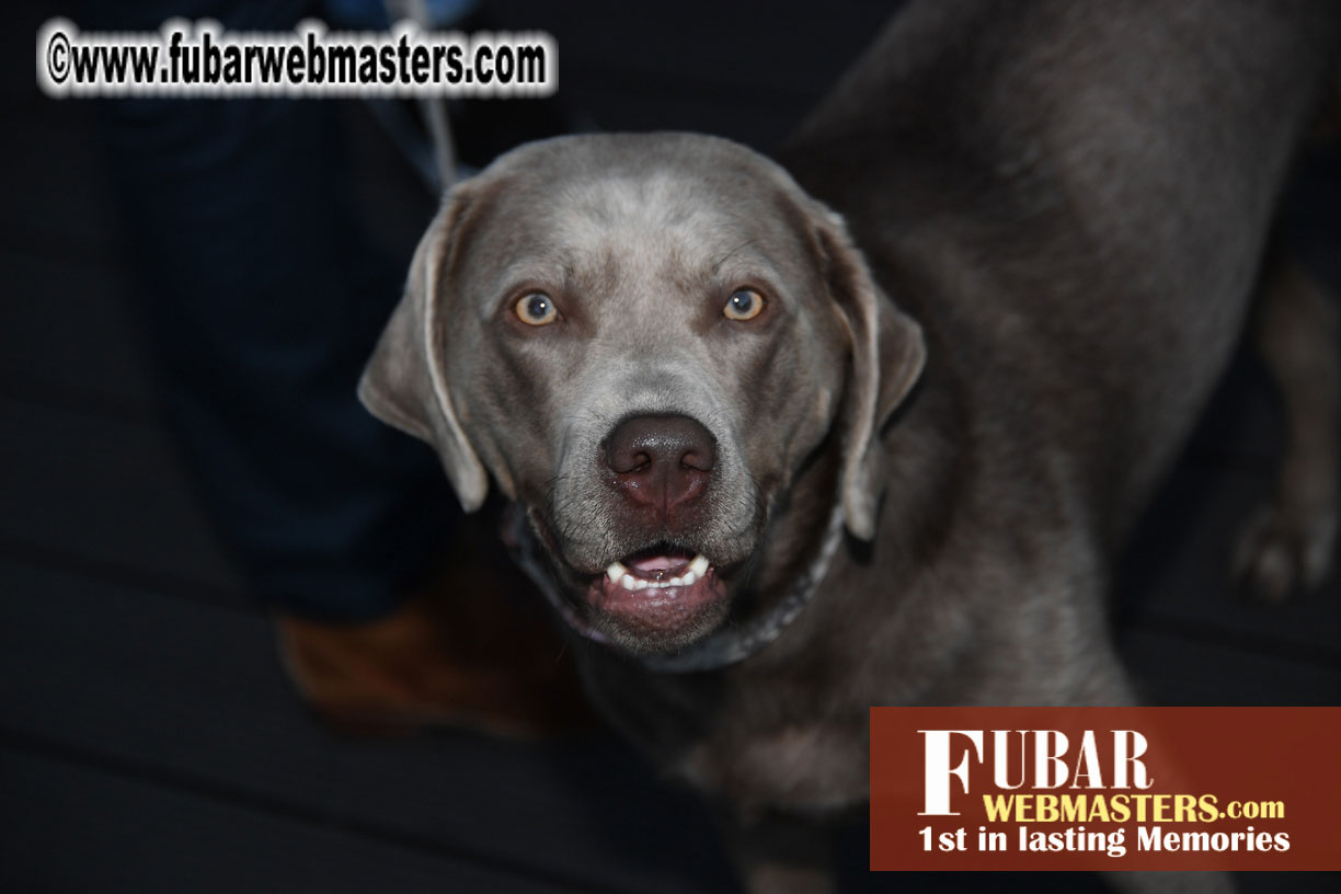 Thursday Night Pre-party at Visit-X Offices