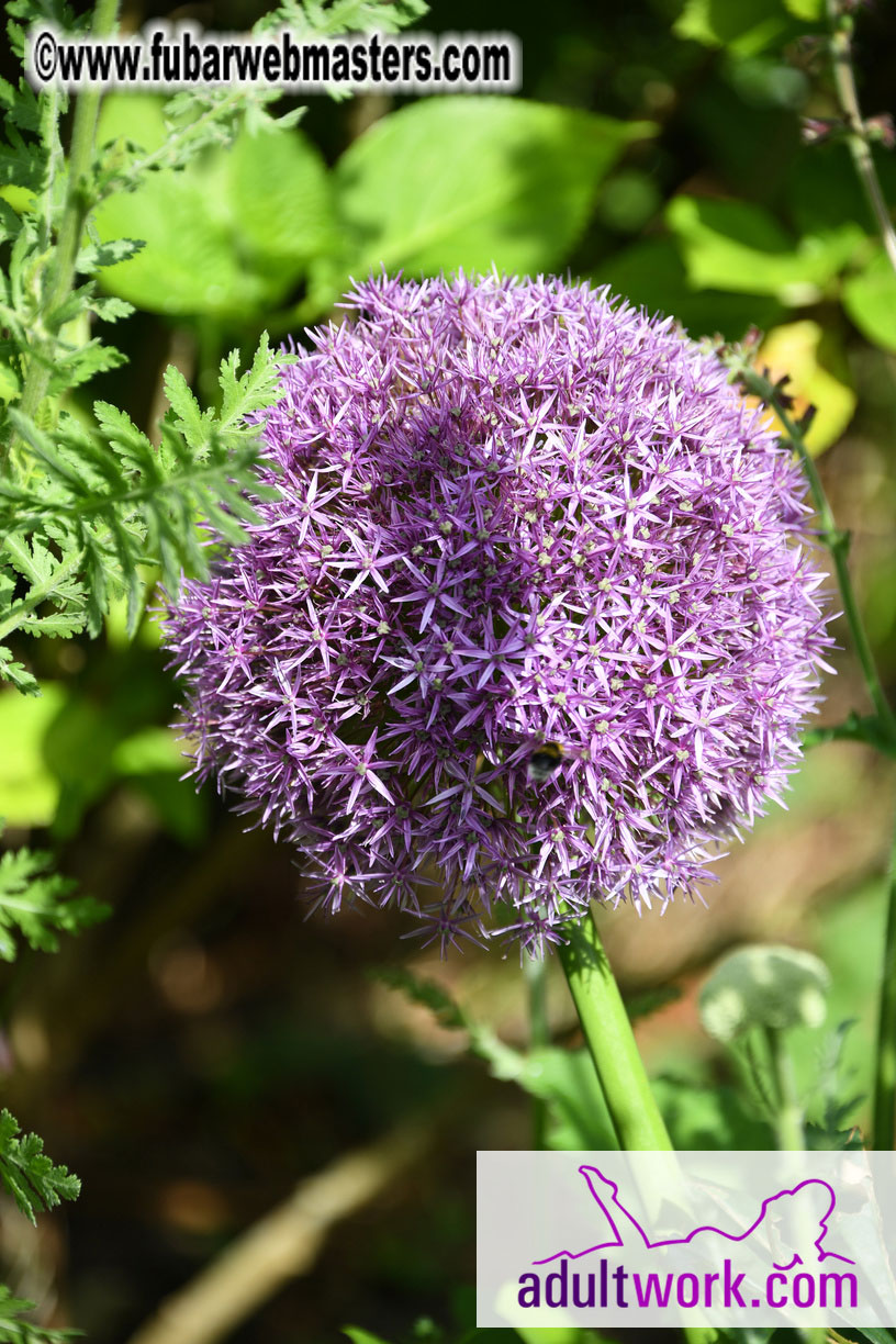 Arrivals at the Glenview Hotel
