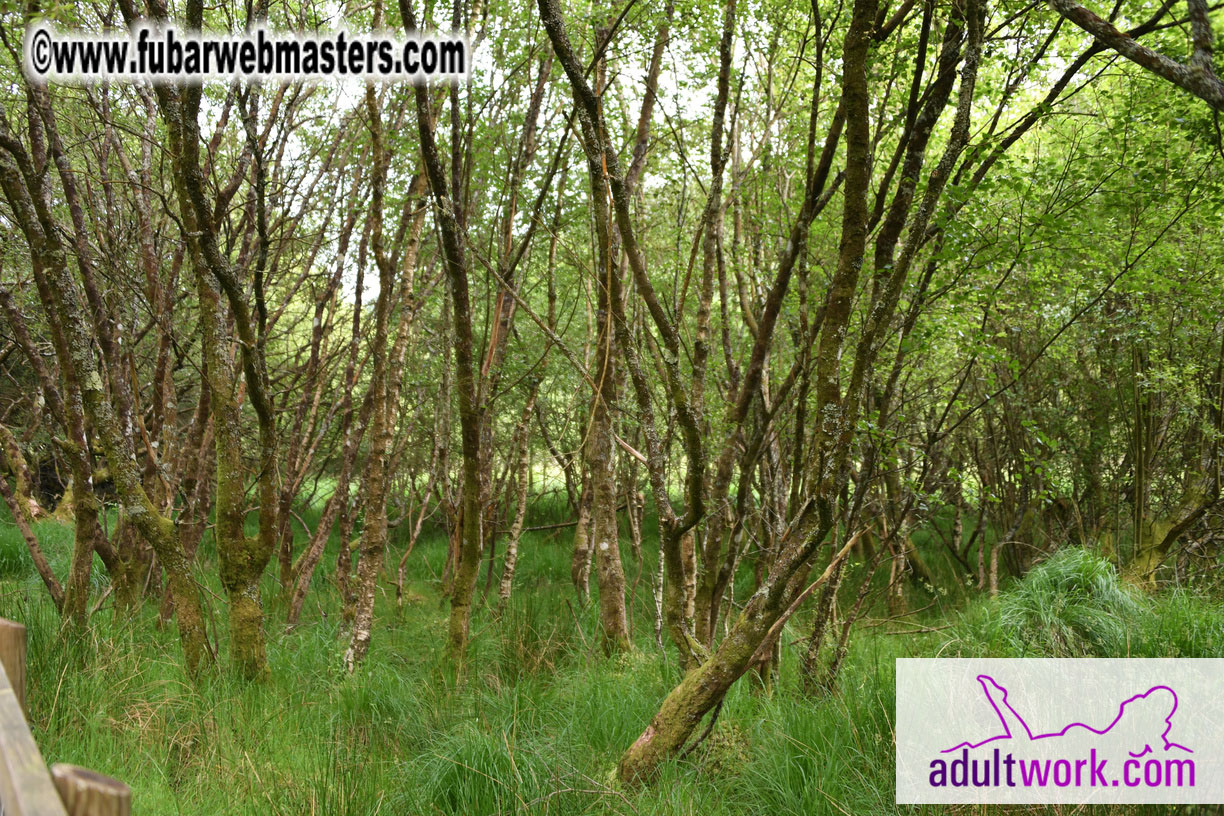  Wicklow Mountains & Glendalough Tour