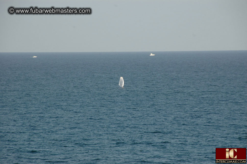 Maleflixxx  Cock & Tail