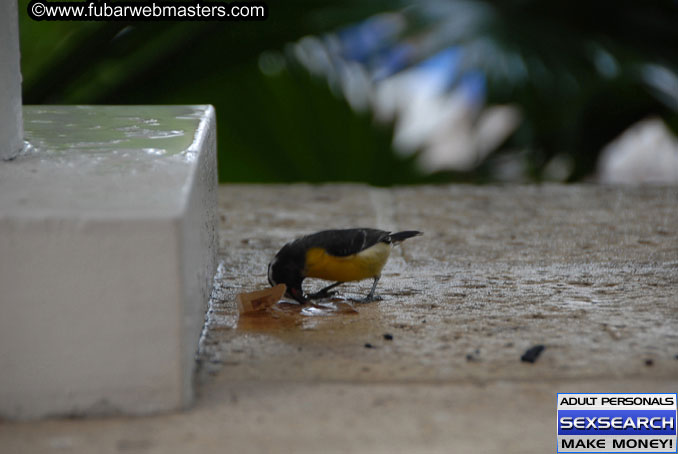 Thursday, Oct 12, 2006