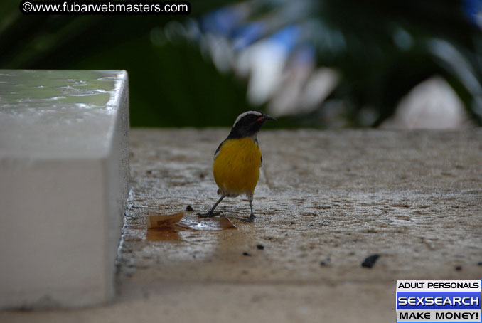 Thursday, Oct 12, 2006