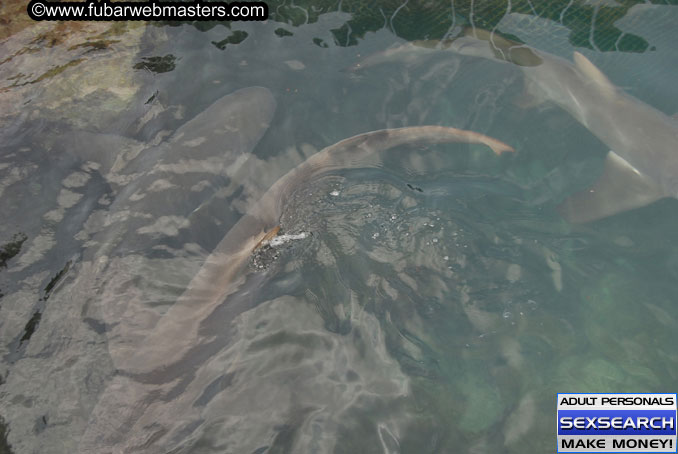 Friday, Oct 13, 2006