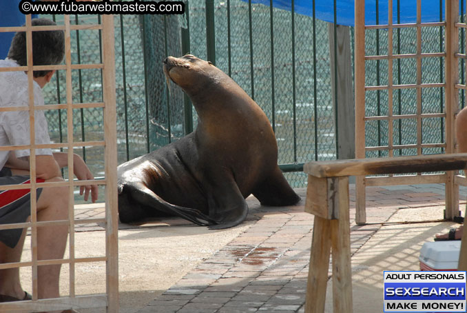 Friday, Oct 13, 2006