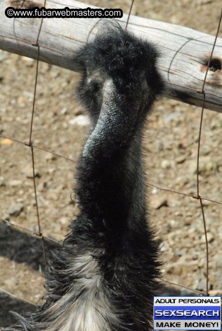 Saturday, Oct 14, 2006