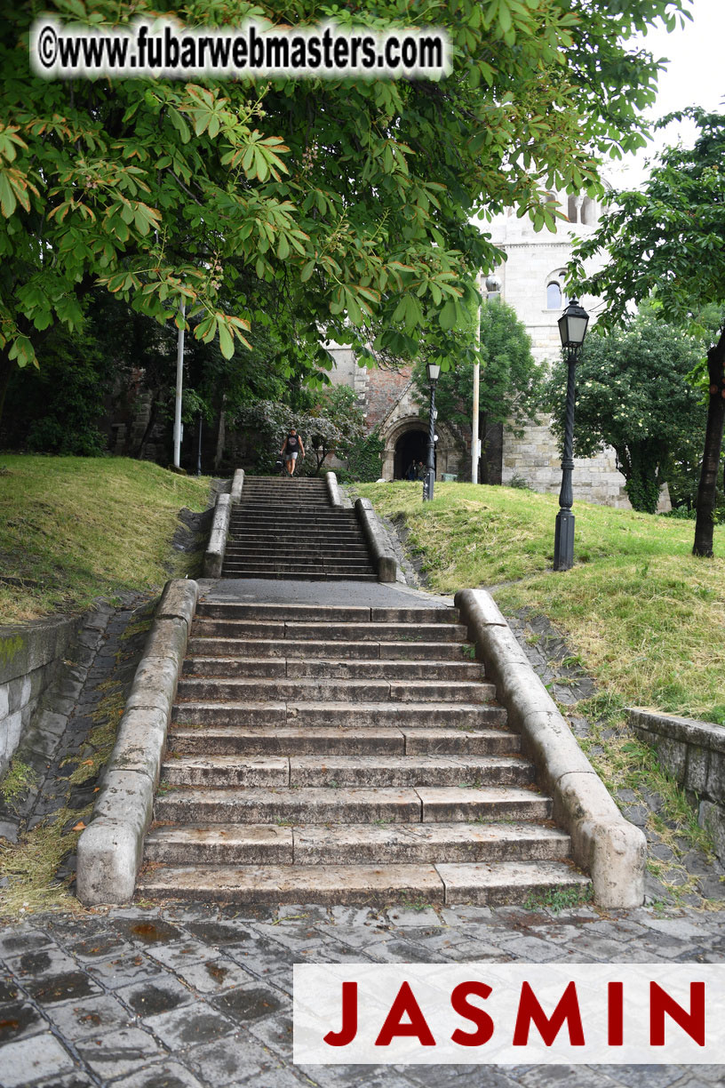 City Sightseeing and Lunch @ Halasz Bastya 