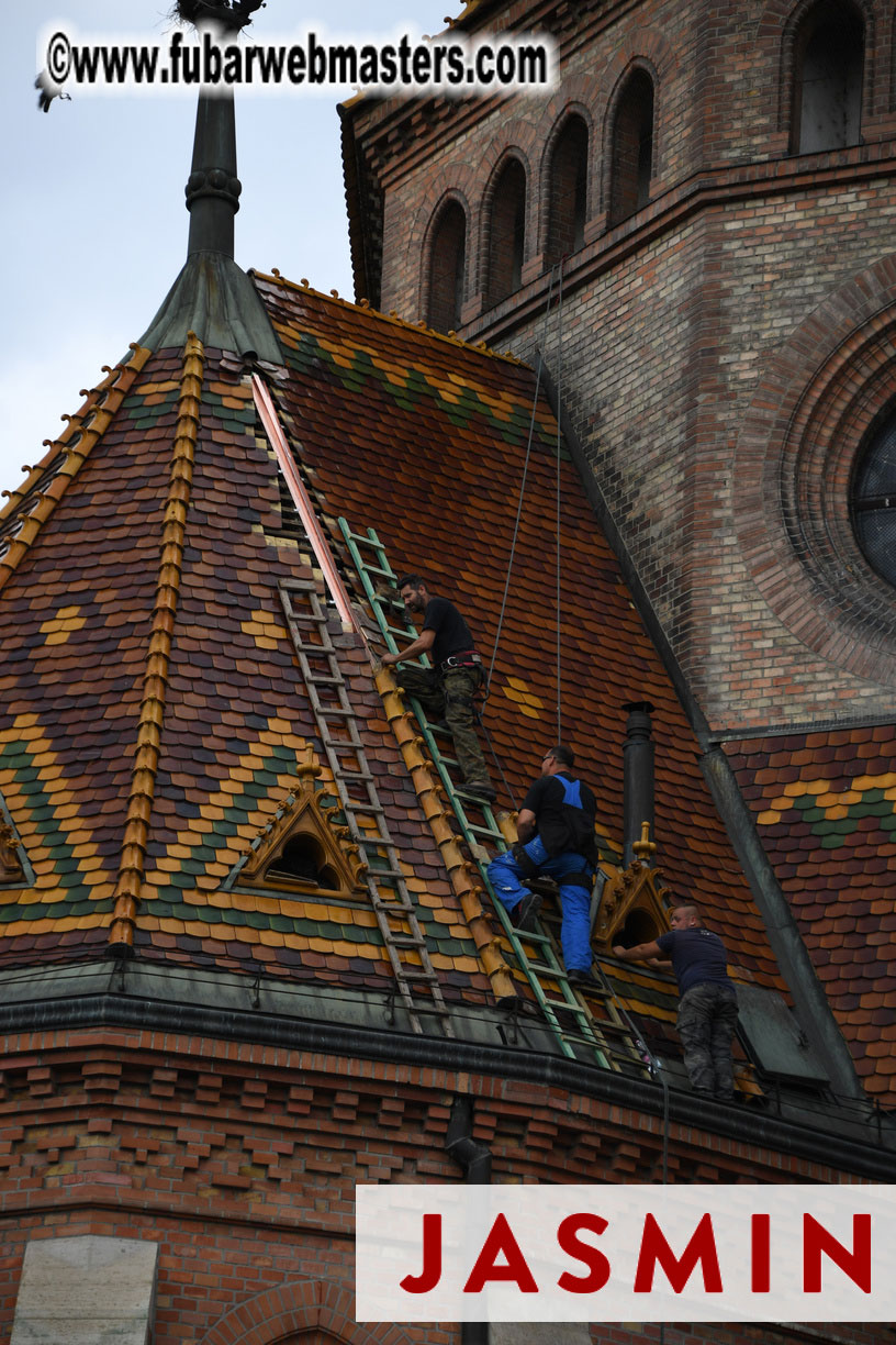 City Tour & Lunch @ Robinsons