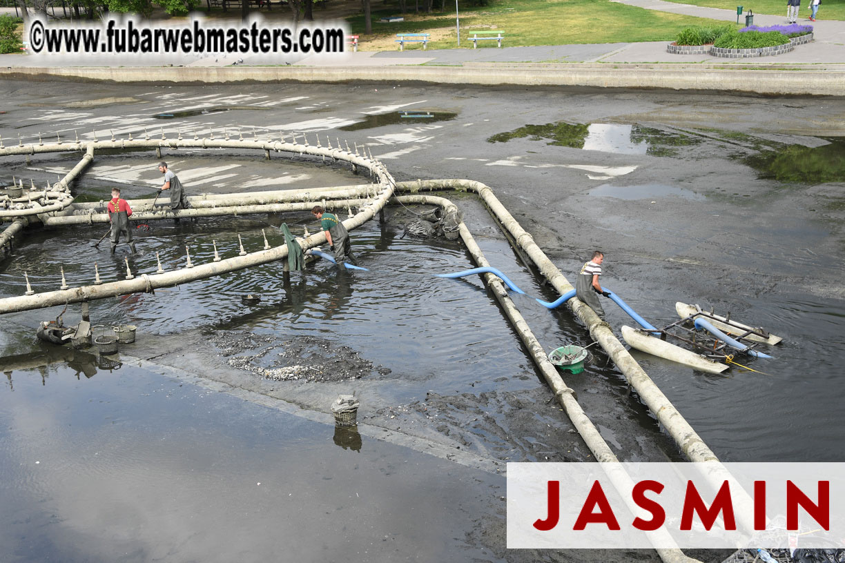 City Tour & Lunch @ Robinsons