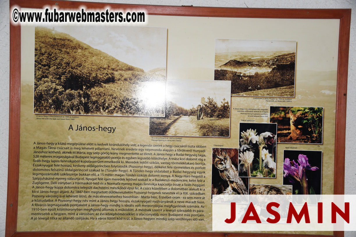 City Tour to Top of Janoshegy