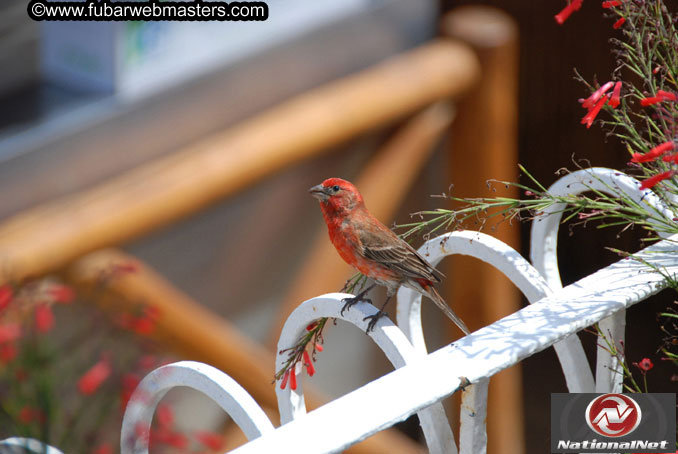 Thursday Poolside Happy Hour