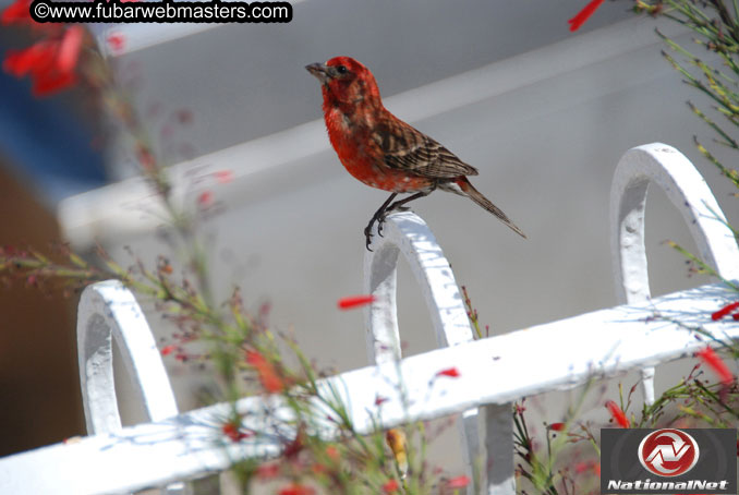 Thursday Poolside Happy Hour