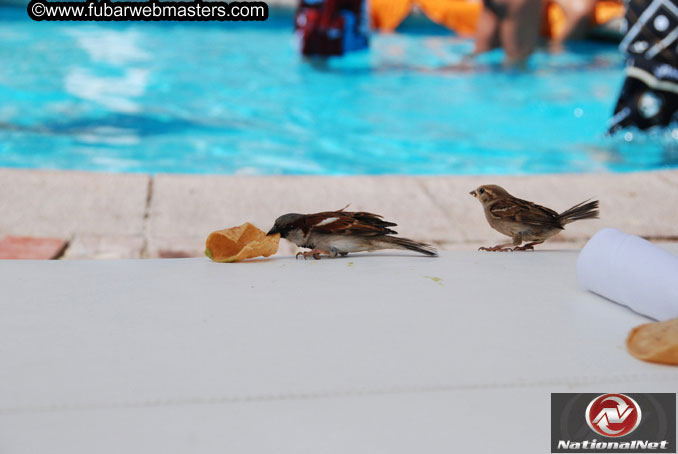 Thursday Poolside Happy Hour