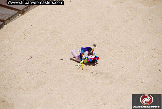Saturday Poolside Happy Hour