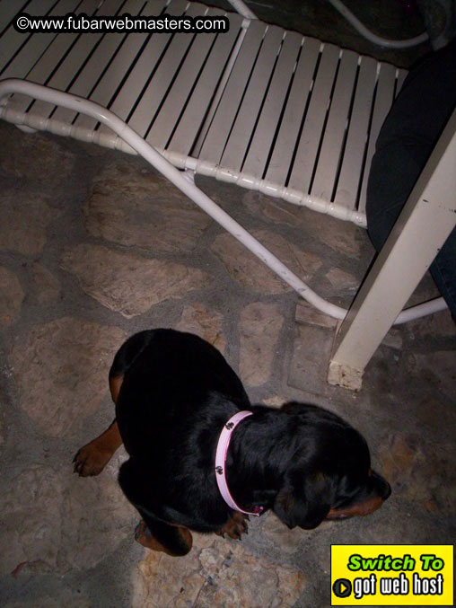 Kourosh's Birthday pics