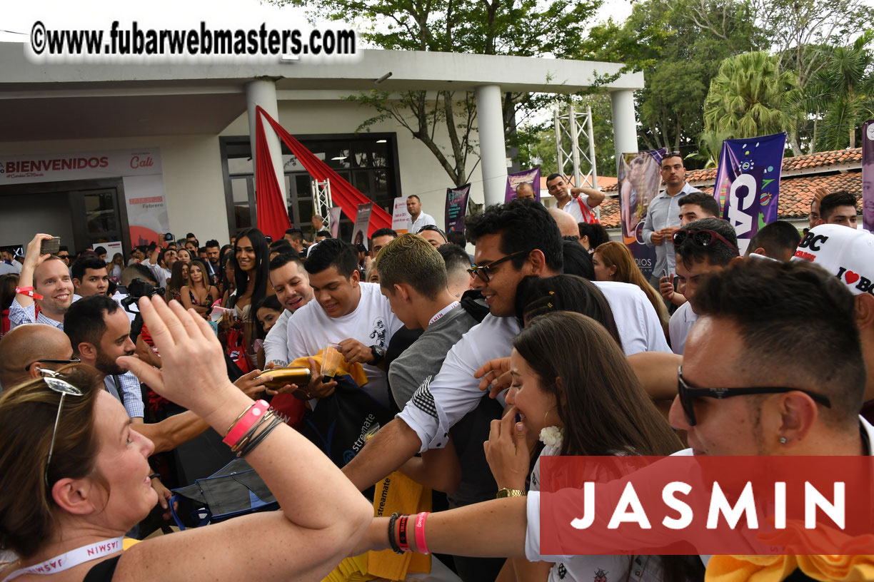 Industry and Models Meet Market