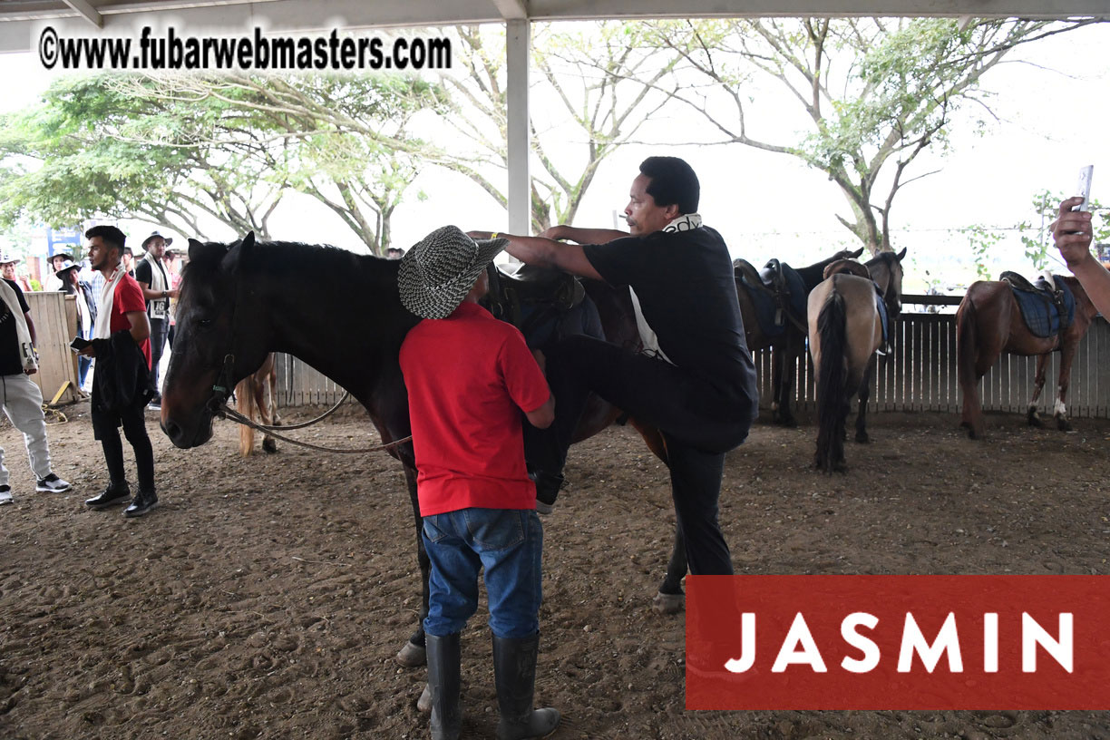 Colunbian Style Horseback Riding Tour