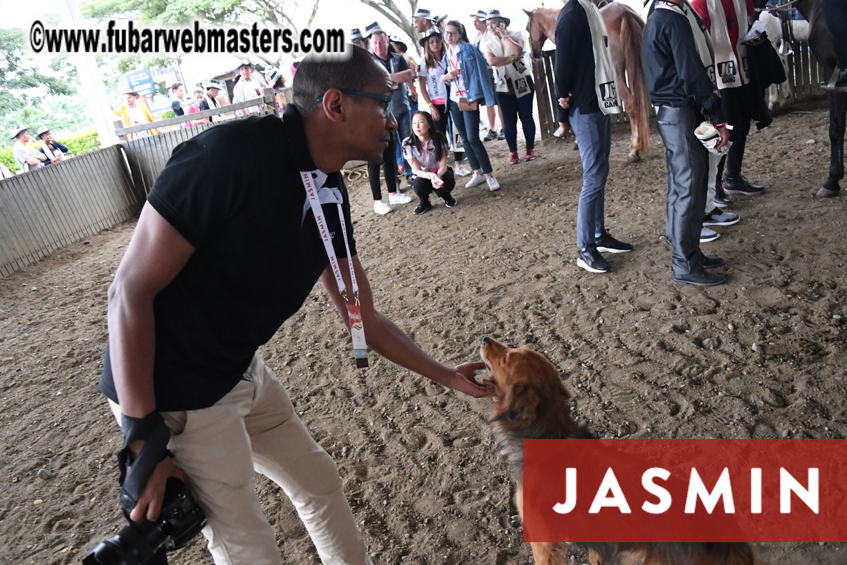 Colunbian Style Horseback Riding Tour