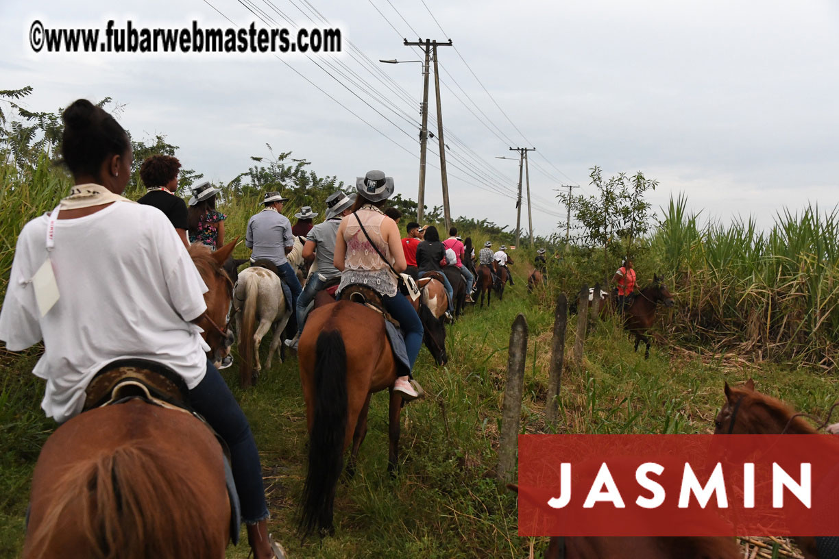 Colunbian Style Horseback Riding Tour
