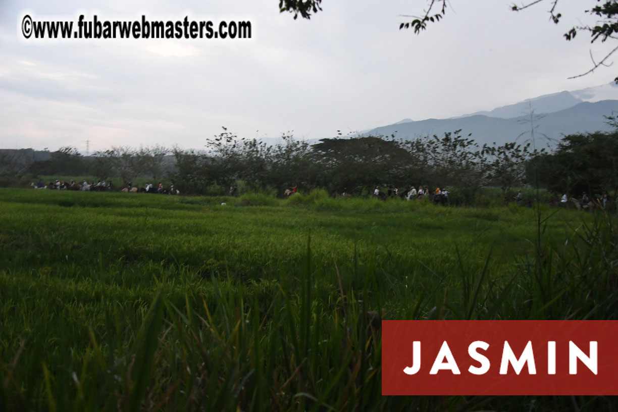 Colunbian Style Horseback Riding Tour