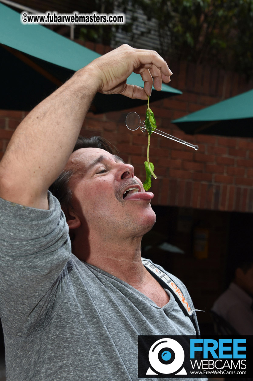 Flirt4Free-LAT Agency/MGroup Cocktail Reception