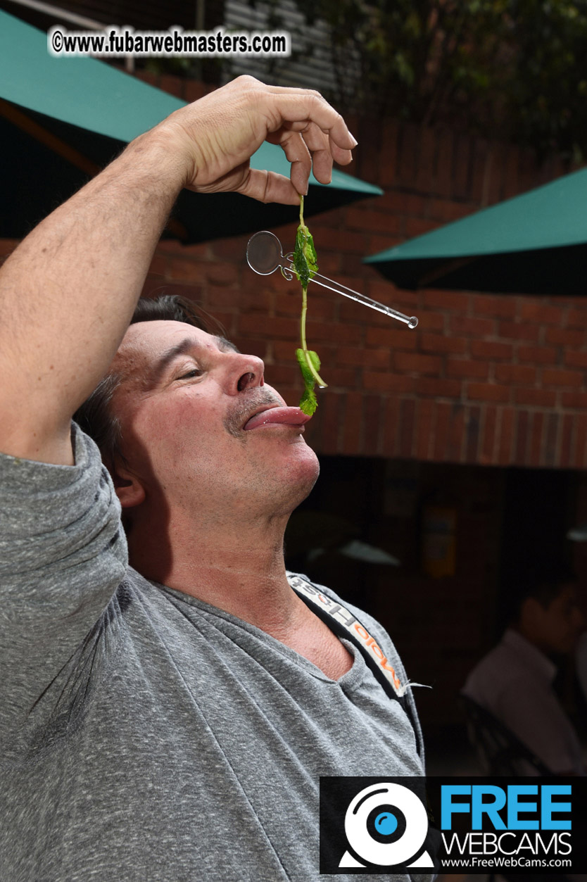 Flirt4Free-LAT Agency/MGroup Cocktail Reception