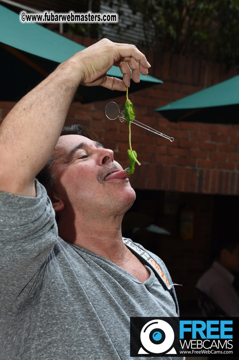 Flirt4Free-LAT Agency/MGroup Cocktail Reception