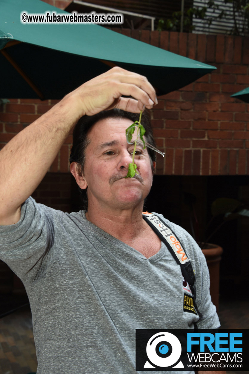 Flirt4Free-LAT Agency/MGroup Cocktail Reception