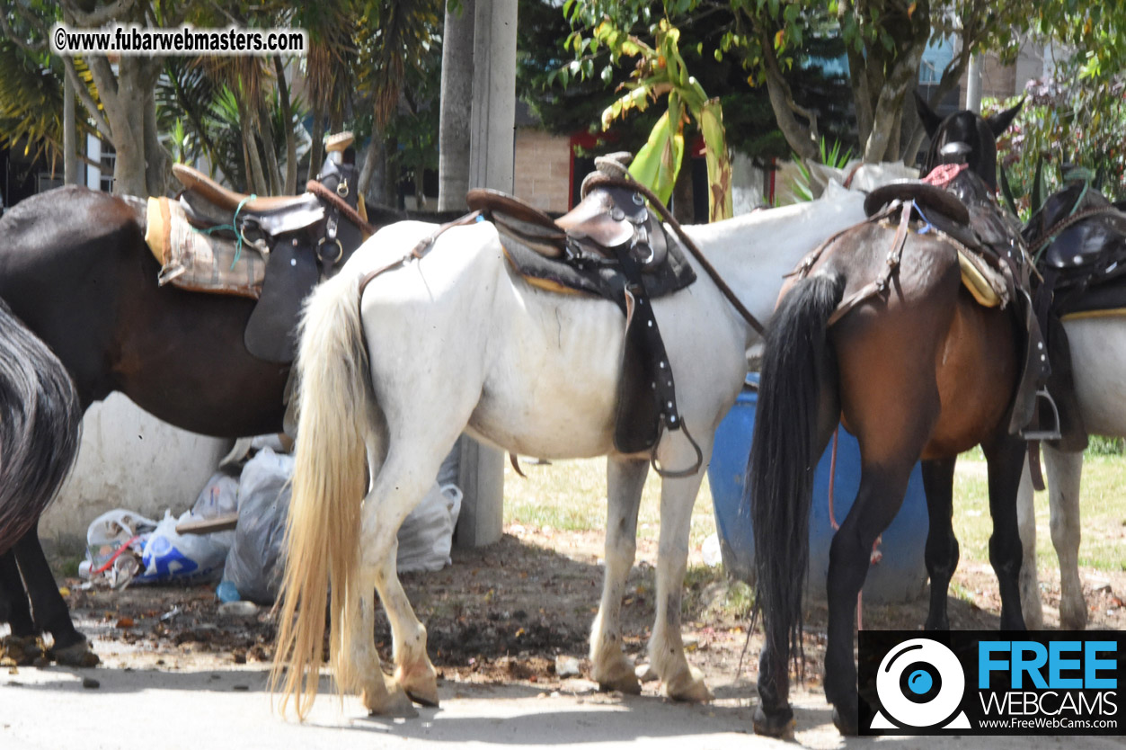 Horseback Riding Colombian style tour