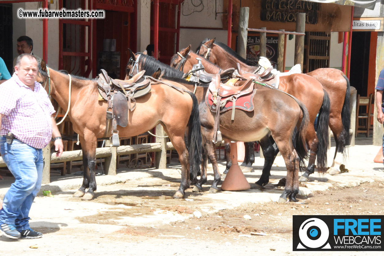 Horseback Riding Colombian style tour