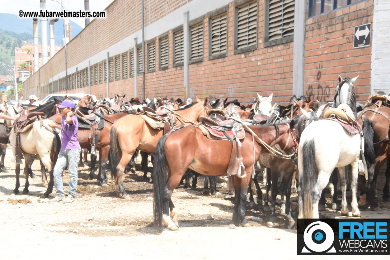 Horseback Riding Colombian style tour