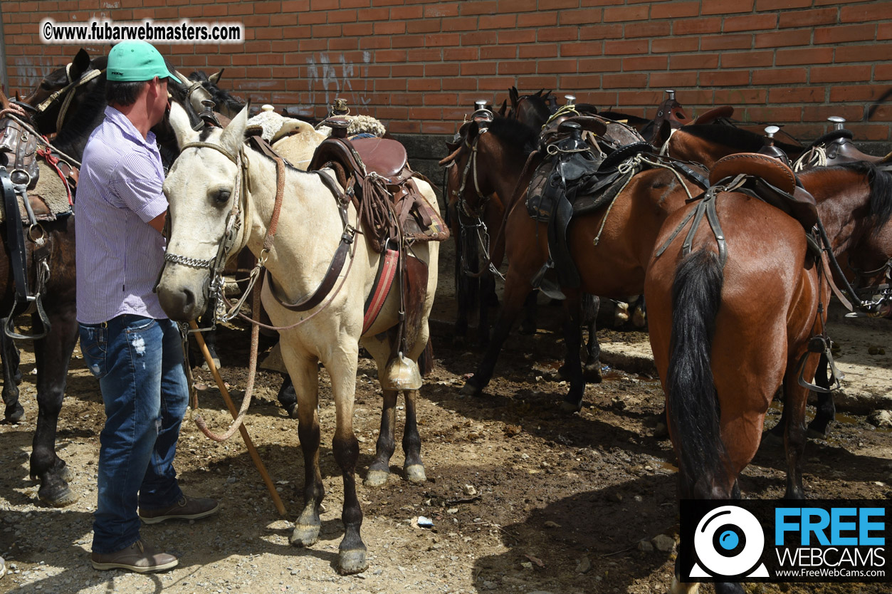 Horseback Riding Colombian style tour