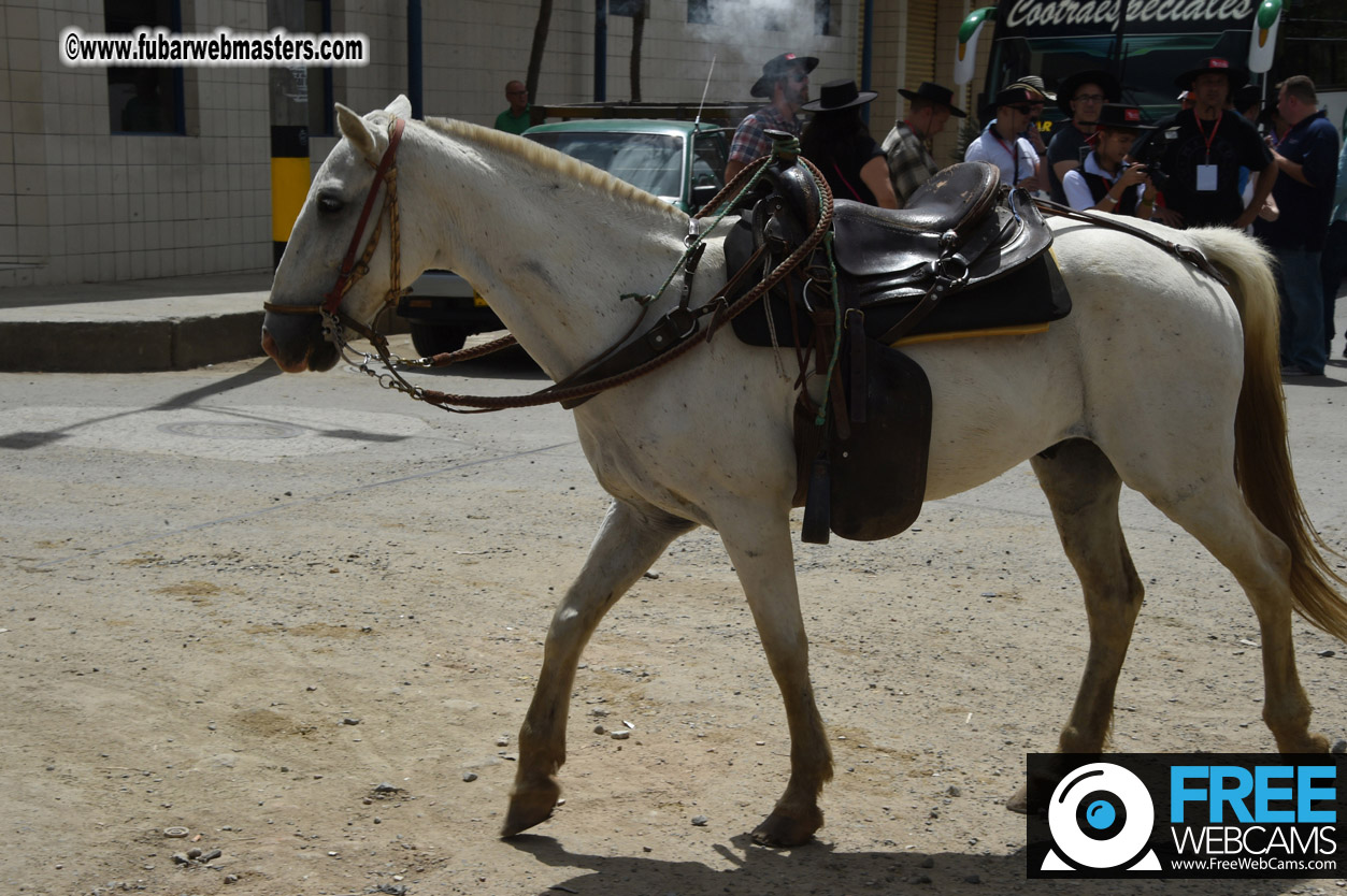 Horseback Riding Colombian style tour
