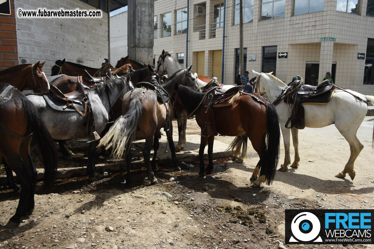 Horseback Riding Colombian style tour