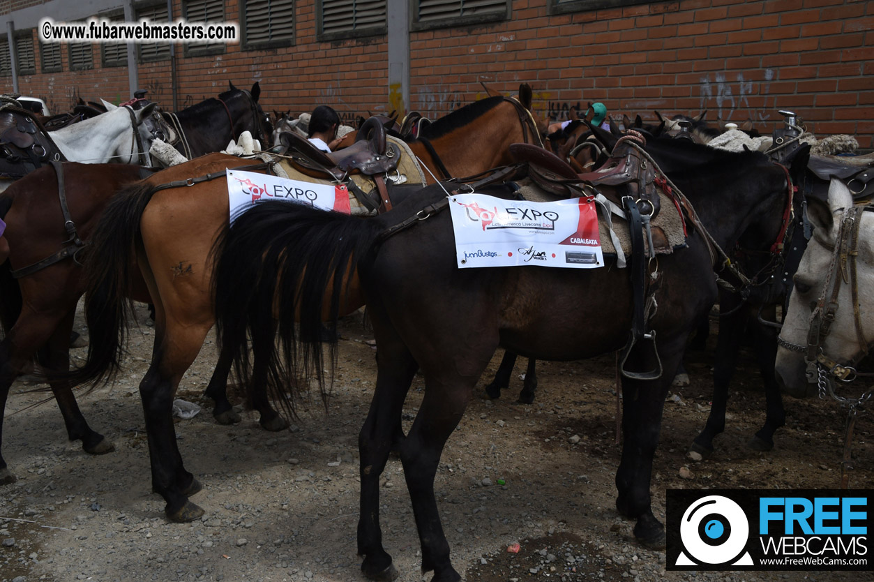 Horseback Riding Colombian style tour