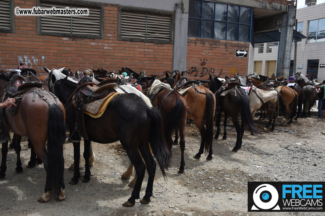 Horseback Riding Colombian style tour