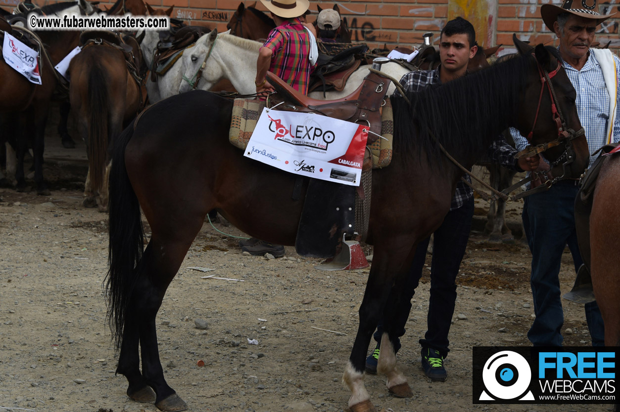 Horseback Riding Colombian style tour