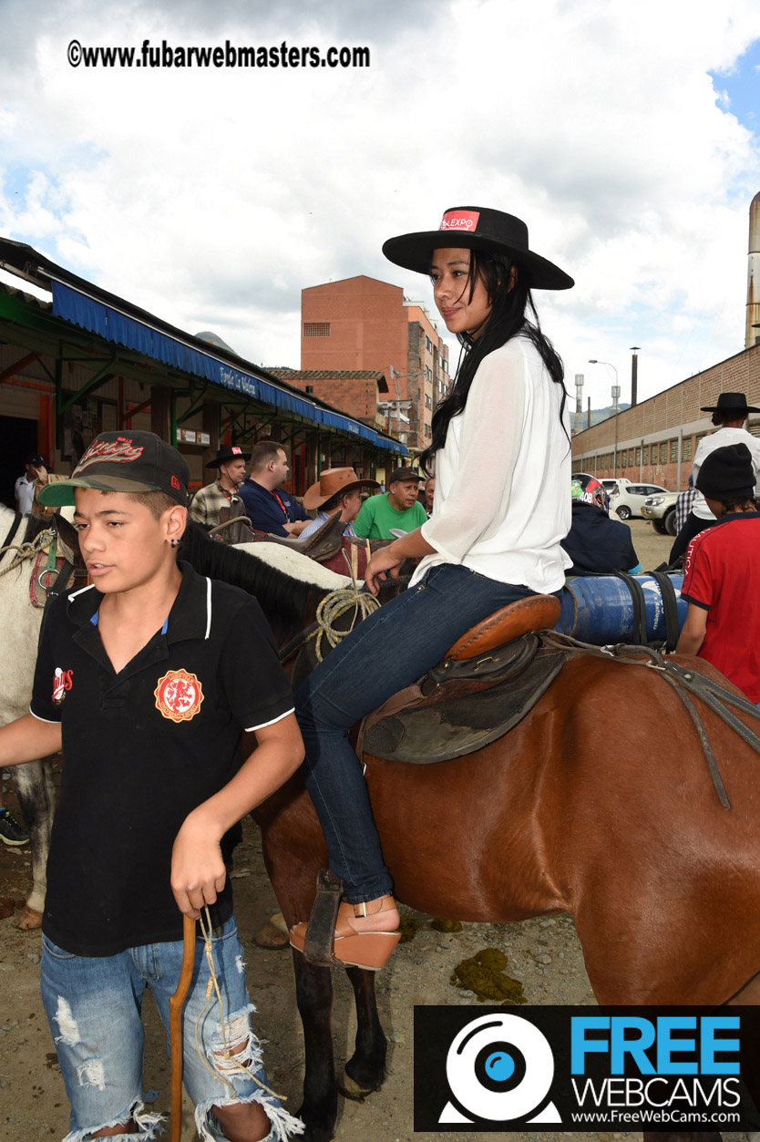 Horseback Riding Colombian style tour