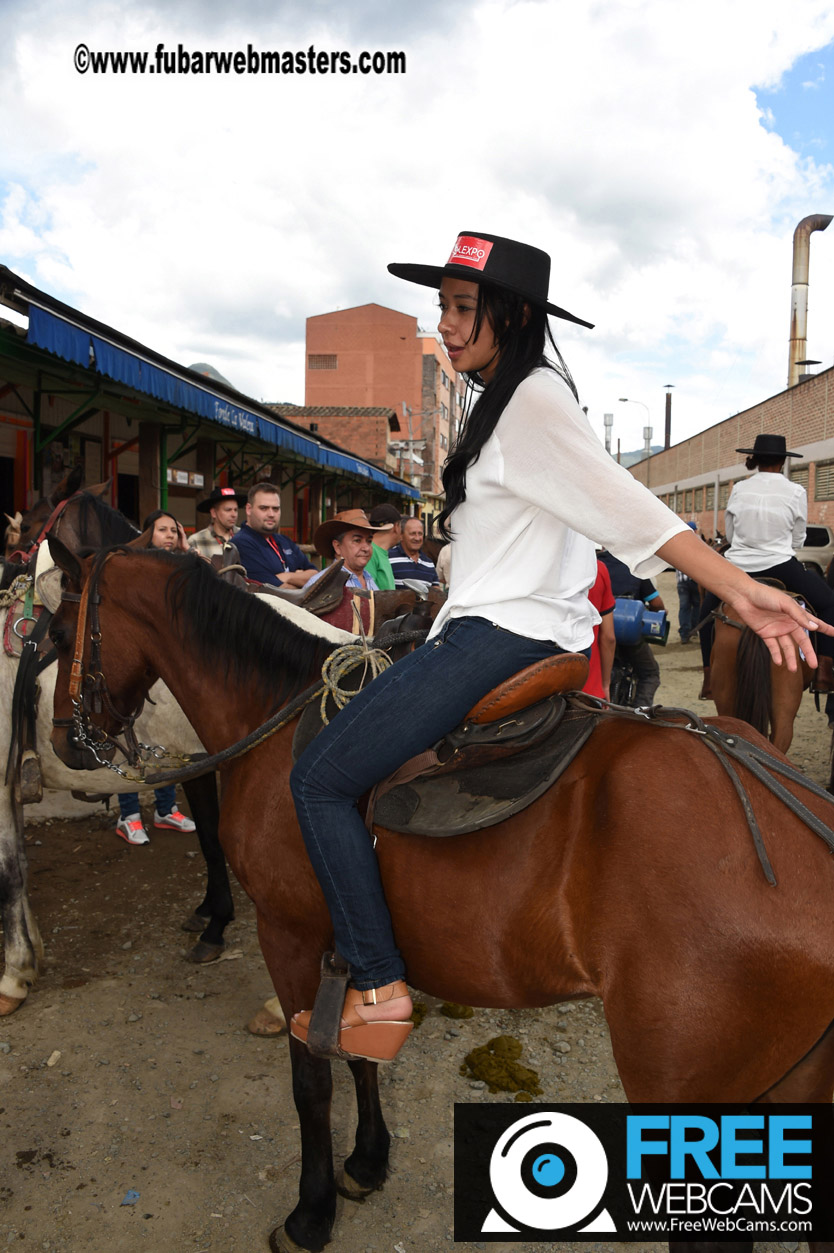 Horseback Riding Colombian style tour