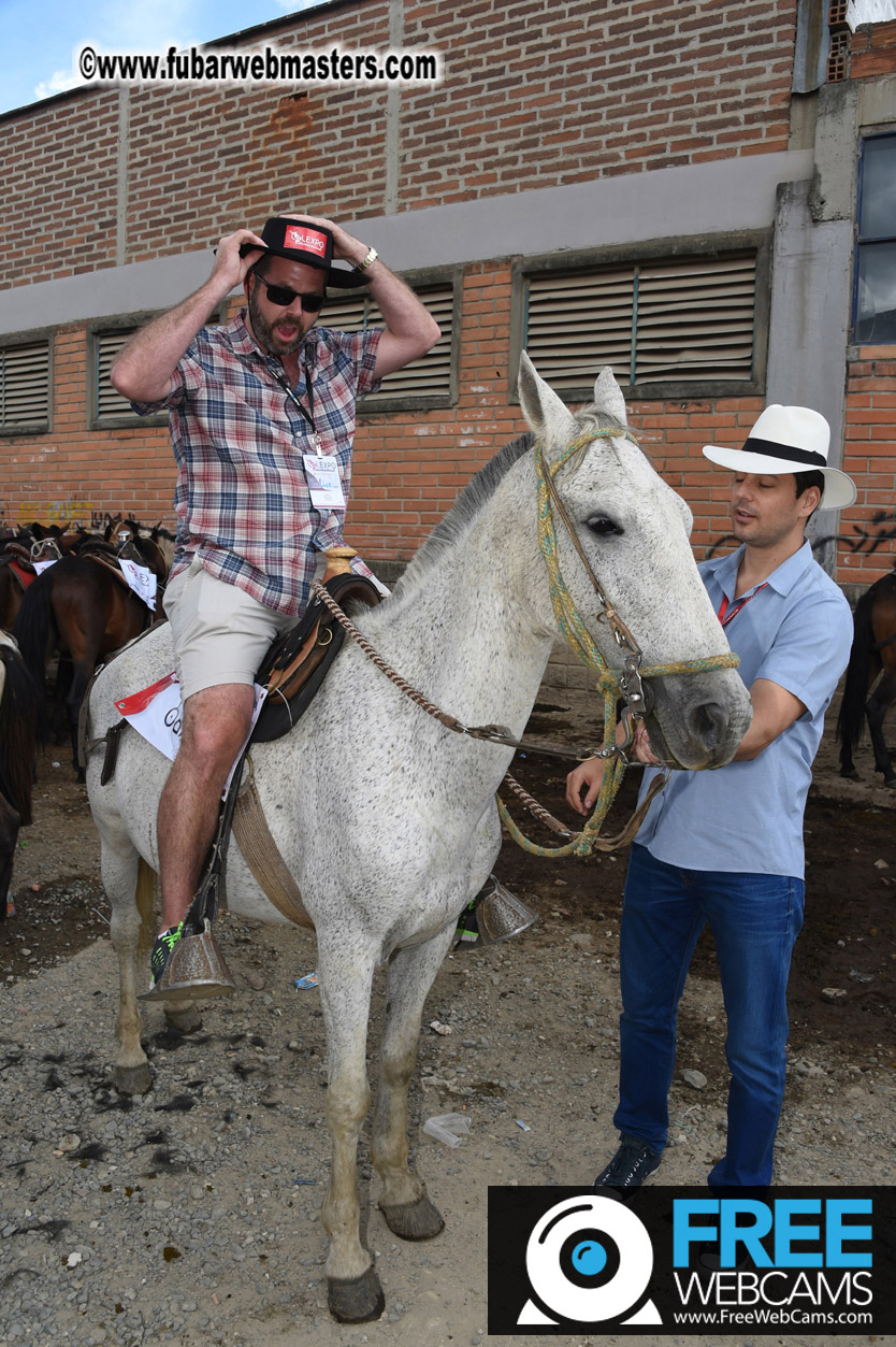 Horseback Riding Colombian style tour