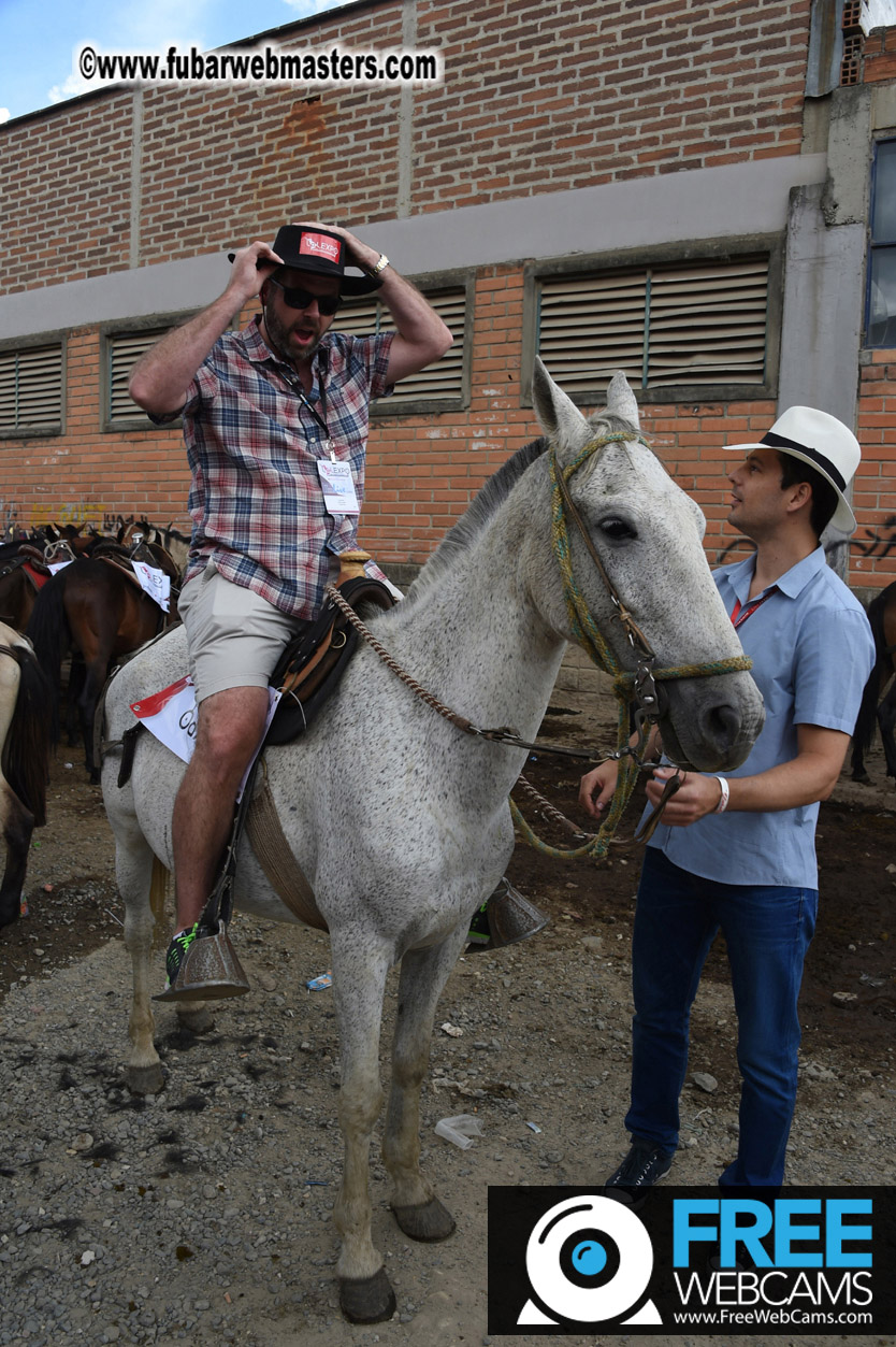 Horseback Riding Colombian style tour