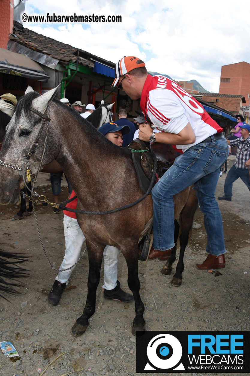 Horseback Riding Colombian style tour