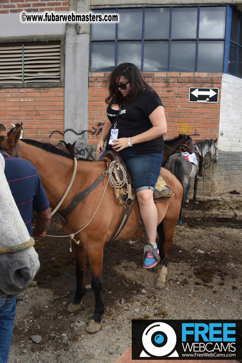 Horseback Riding Colombian style tour