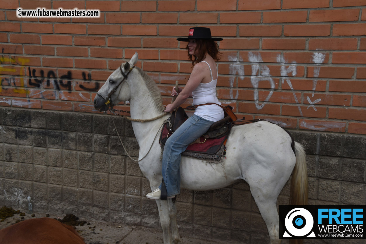 Horseback Riding Colombian style tour