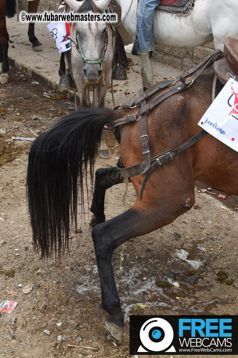 Horseback Riding Colombian style tour