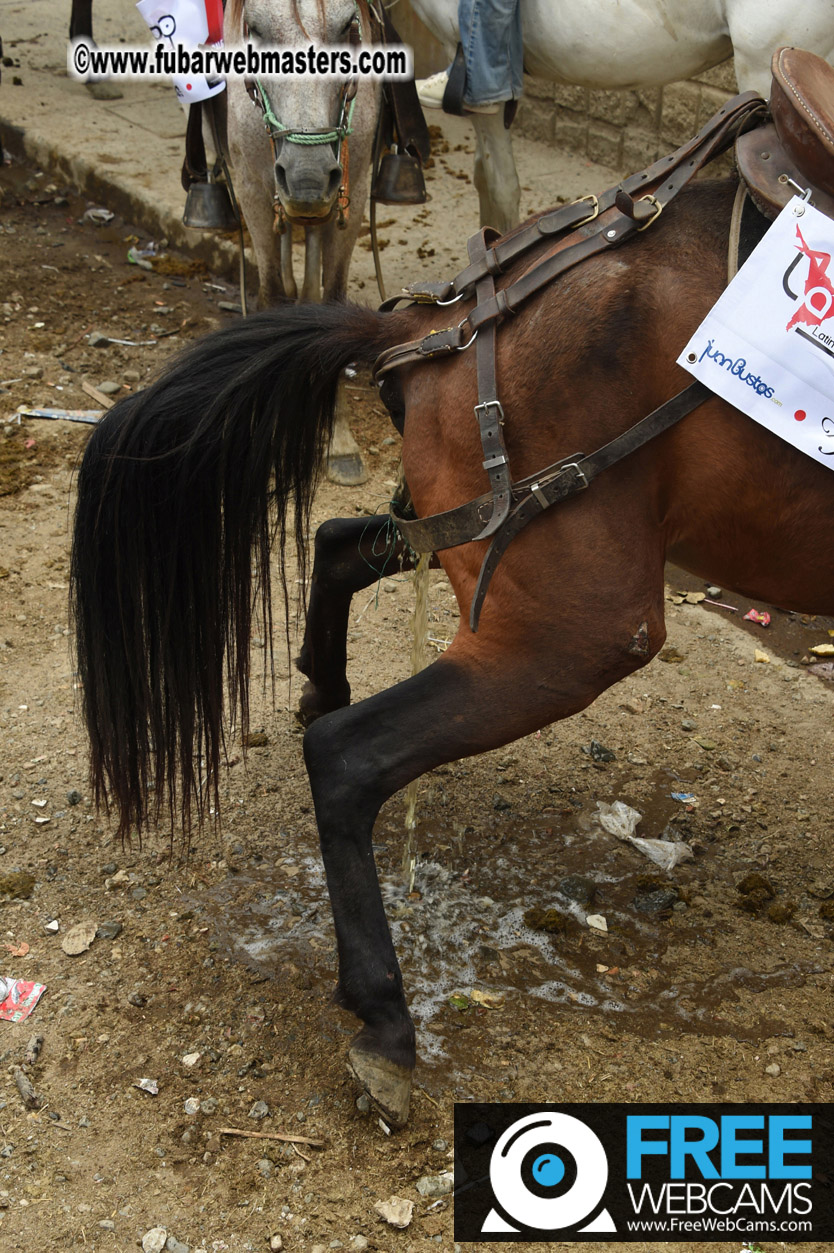 Horseback Riding Colombian style tour